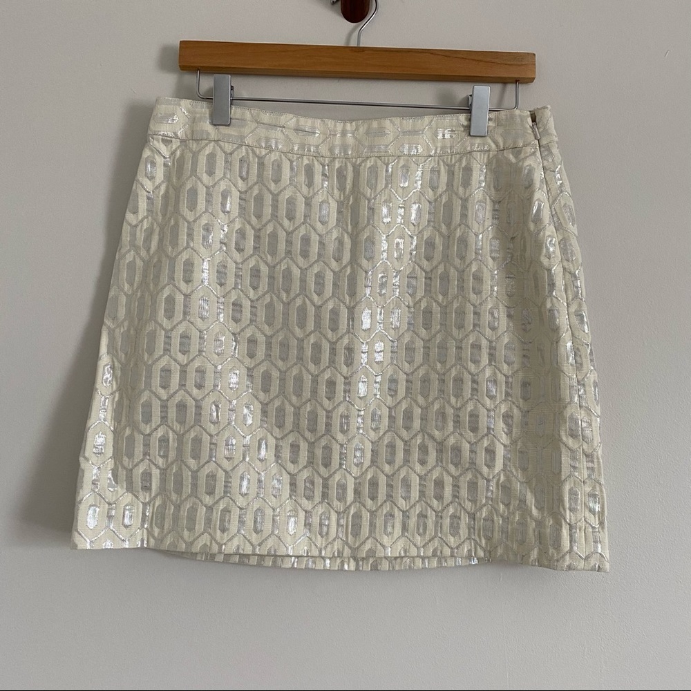 Banana Republic Metallic Mini